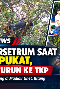 Warga Tersengat Listrik di Atas Pohon, TNI-Polri Turun ke TKP